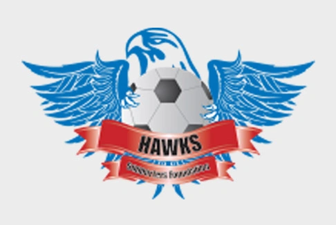 Convert-Raster-to-Vector_Before